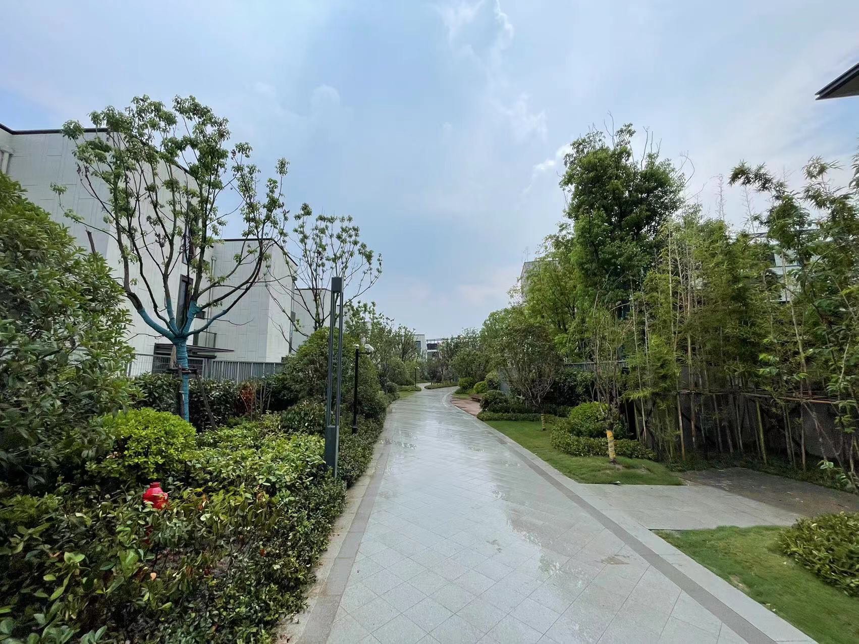 发生了什么？离岸人民币连续升穿7.34和7.33关口-信托网